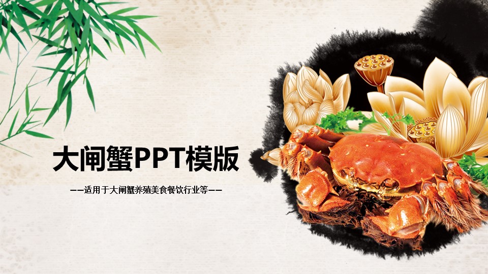 餐饮 44ok的PPT模板-1/50