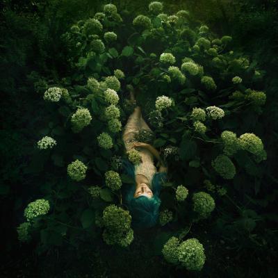 其他.Bella Kotak的摄影作品-11