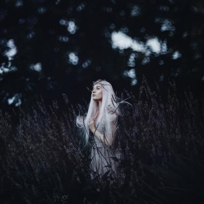 其他.Bella Kotak的摄影作品-29