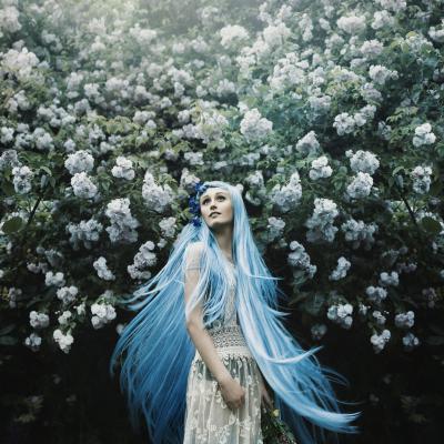 其他.Bella Kotak的摄影作品-32