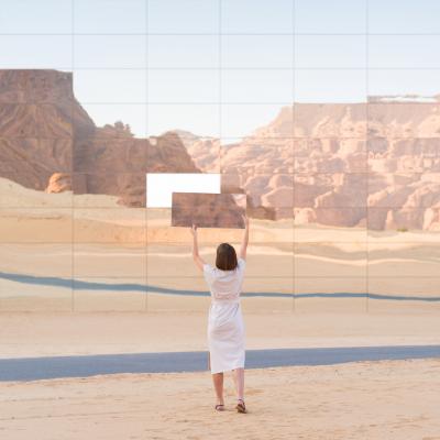 其他.A499-ANNA DEVIS & DANIEL RUEDA.Curiocities series  Anna Devís and Daniel Rueda的摄影作品-4_1696054385674