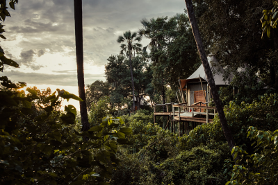 其他.哈苏大师获奖作品集.2008.Benjamin Antony Monn 本杰明·安东尼·蒙.个人项目.Wilderness_Luxury_Safaris_Botswana的摄影作品-BAM_DSC1463_Master