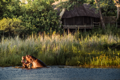 其他.哈苏大师获奖作品集.2008.Benjamin Antony Monn 本杰明·安东尼·蒙.个人项目.Wilderness_Luxury_Safaris_Botswana的摄影作品-BAM_DSC9387_Master