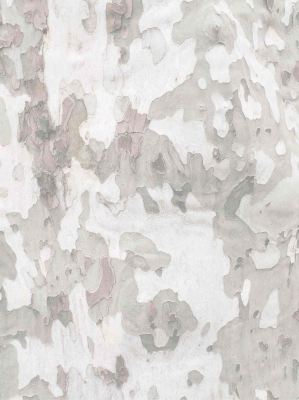 其他.哈苏大师获奖作品集.2008.Bronek Kozka 布罗内科兹卡.个人项目.Room_101的摄影作品-3x4-image-9-half-color