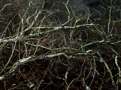 其他.哈苏大师获奖作品集.2008.Gregor Halenda 格雷戈尔·哈伦达.个人项目.个人的摄影作品-Personal-A-0010-s-copy