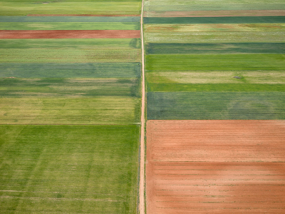 其他.哈苏大师获奖作品集.2008.Hans Strand  汉斯·斯特兰德.个人项目.人造土地的摄影作品-Field+Mosaic+IV,+Spain+2022
