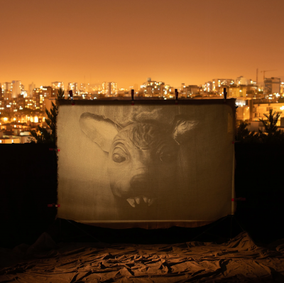 其他.哈苏大师获奖作品集.2008.Morfi Jimenez Mercado 莫菲希门尼斯.个人项目.Untitled_XIII_The_unreal的摄影作品-摄影大师作品集 12