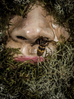 其他.哈苏大师获奖作品集.2010.João Carlos.个人项目.广告.静物.宏观学的摄影作品-dscf5142