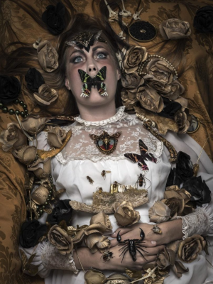 其他.哈苏大师获奖作品集.2010.João Carlos.个人项目.美术.宏观学的摄影作品-dscf5461_copy_ant