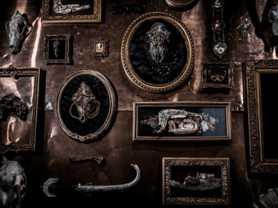 其他.哈苏大师获奖作品集.2010.João Carlos.个人项目.美术.宏观学的摄影作品-copy-copy