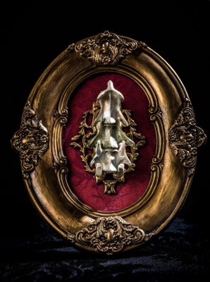 其他.哈苏大师获奖作品集.2010.João Carlos.个人项目.美术.宏观学的摄影作品-2