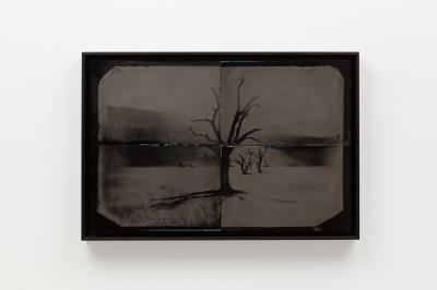 其他.哈苏大师获奖作品集.2010.Lyle Owerko.个人项目.Tintypes的摄影作品-1 of 1.JPG