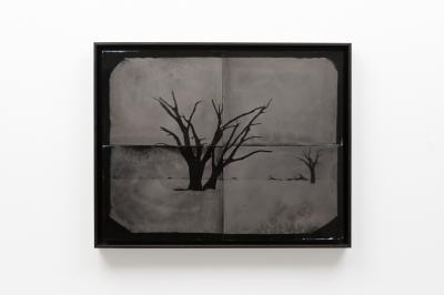 其他.哈苏大师获奖作品集.2010.Lyle Owerko.个人项目.Tintypes的摄影作品-1 of 1.JPG