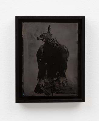 其他.哈苏大师获奖作品集.2010.Lyle Owerko.个人项目.Tintypes的摄影作品-22（网站）