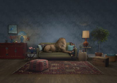 其他.哈苏大师获奖作品集.2010.Lyle Owerko.个人项目.个人的摄影作品-Lion-scaled
