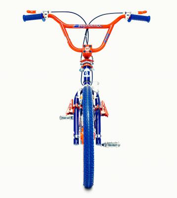 其他.哈苏大师获奖作品集.2010.Lyle Owerko.个人项目.自行车的摄影作品-BIKESFV-A_2