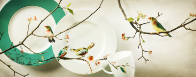其他.哈苏大师获奖作品集.2010.Mark Holthusen.个人项目.广告.Bed_Bath_Beyond的摄影作品-BBB_LENOX_W4