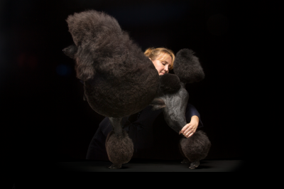 其他.哈苏大师获奖作品集.2010.Mark Holthusen.个人项目.肖像.第二名的摄影作品-PURINA-NationalDogShow0918