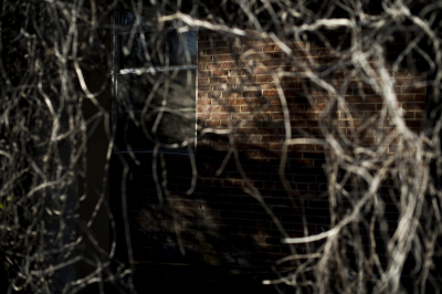 其他.哈苏大师获奖作品集.2010.Nina Berman.个人项目.多齐尔的黑人男孩的摄影作品-xx_large