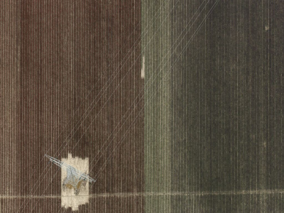 其他.哈苏大师获奖作品集.Stephan Zirwes.个人项目.Cultured_Land_2010的摄影作品-csm_16-blumen-strommast_1210880_19f2638597