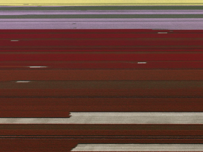 其他.哈苏大师获奖作品集.Stephan Zirwes.个人项目.Cultured_Land_2010的摄影作品-csm_06-rotrot-lilagelb-1210692_c8755b81d2