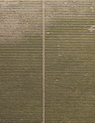 其他.哈苏大师获奖作品集.Stephan Zirwes.个人项目.Vineyards_2010的摄影作品-csm_wine-bakerfield-traktor_1154_e3596cd252