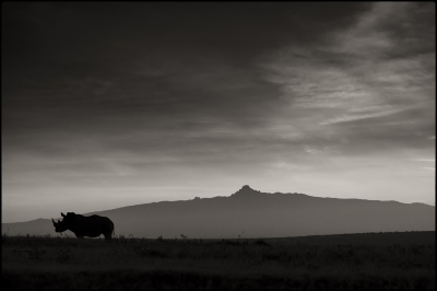 其他.哈苏大师获奖作品集.2012.Joachim Schmeisser.THE_LAST_OF_THEIR_KIND的摄影作品-in-the-morning-Mount-Kenya.jpg-nggid03218-ngg0dyn-3000x2000x100-00f0w010c010r110f110r010t010