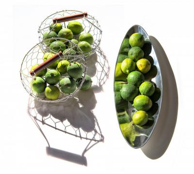 其他.哈苏大师获奖作品集.2012.Joe Felzman.FOOD1的摄影作品-dxthm1000.3-limes-2up-AP
