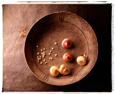 其他.哈苏大师获奖作品集.2012.Joe Felzman.FOOD2的摄影作品-dxthm1000.ScreenShot2022-08-28at9.17.M