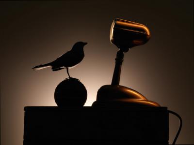 其他.哈苏大师获奖作品集.2012.Joe Felzman.哈苏的摄影作品-dxthm1000.felzman-evoke-bird-and-mic-573