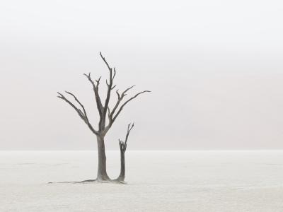 其他.哈苏大师获奖作品集.2012.TOM D. JONES.个人项目.BENGUELA的摄影作品-BG H3