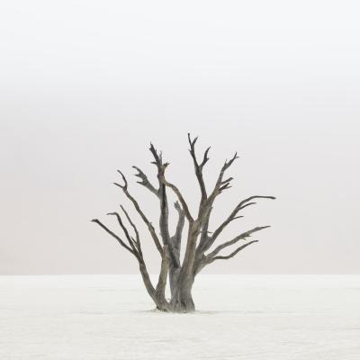 其他.哈苏大师获奖作品集.2012.TOM D. JONES.个人项目.BENGUELA的摄影作品-BG S1