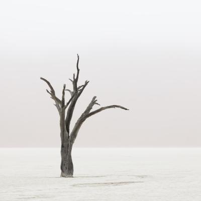 其他.哈苏大师获奖作品集.2012.TOM D. JONES.个人项目.BENGUELA的摄影作品-BG S5