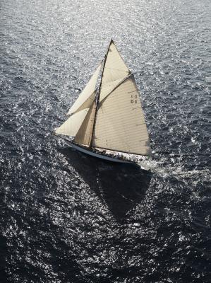 其他.哈苏大师获奖作品集.2012.TOM D. JONES.个人项目.巴里纱的摄影作品-摄影大师作品集 7