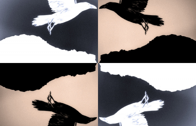 其他.哈苏大师获奖作品集.2014.Rafael Rojas 拉斐尔·罗哈斯.个人项目.Yin-Yang_Big-Bang的摄影作品-RR_20170403_DSF6373_X_1