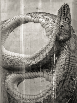 其他.哈苏大师获奖作品集.2014.Rafael Rojas 拉斐尔·罗哈斯.个人项目.仍然的摄影作品-RR_20140521B8408713