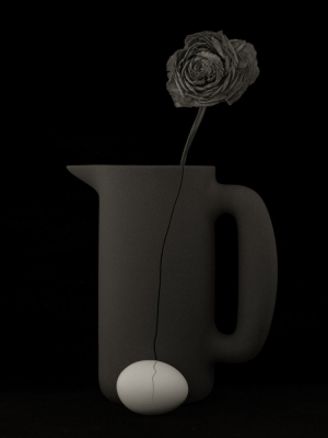 其他.哈苏大师获奖作品集.2014.Rafael Rojas 拉斐尔·罗哈斯.个人项目.瓦比生活的摄影作品-RR_20200330_DSF3810