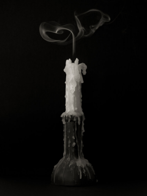 其他.哈苏大师获奖作品集.2014.Rafael Rojas 拉斐尔·罗哈斯.个人项目.瓦比生活的摄影作品-RR_20200404_DSF4448