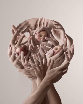 其他.哈苏大师获奖作品集.2016.Giorgio Cravero.个人项目.产品的摄影作品-dxthm1000.055