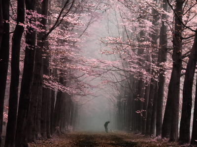 其他.哈苏大师获奖作品集.2016.Lars van de Goor.个人作品集.Being_in_Magic的摄影作品-Lars van de Goor_摄影师陈阳 1