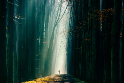 其他.哈苏大师获奖作品集.2016.Lars van de Goor.个人作品集.Being_in_Magic的摄影作品-Lars van de Goor_摄影师陈阳 2