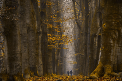 其他.哈苏大师获奖作品集.2016.Lars van de Goor.个人作品集.Being_in_Magic的摄影作品-Lars van de Goor_摄影师陈阳 3
