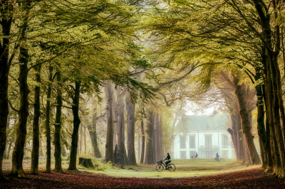 其他.哈苏大师获奖作品集.2016.Lars van de Goor.个人作品集.Being_in_Magic的摄影作品-Lars van de Goor_摄影师陈阳 9