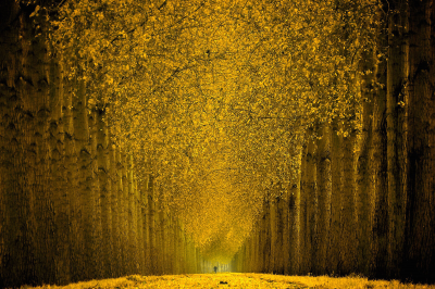 其他.哈苏大师获奖作品集.2016.Lars van de Goor.个人作品集.Being_in_Magic的摄影作品-Lars van de Goor_摄影师陈阳 10