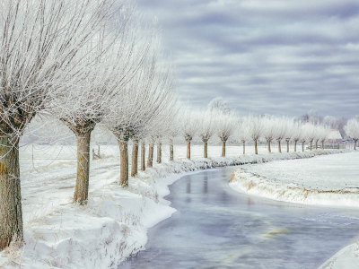其他.哈苏大师获奖作品集.2016.Lars van de Goor.个人作品集.Cold_Beauty的摄影作品-Lars van de Goor_摄影师陈阳 1