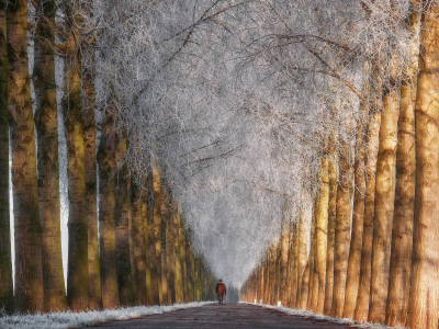 其他.哈苏大师获奖作品集.2016.Lars van de Goor.个人作品集.Cold_Beauty的摄影作品-Lars van de Goor_摄影师陈阳 2