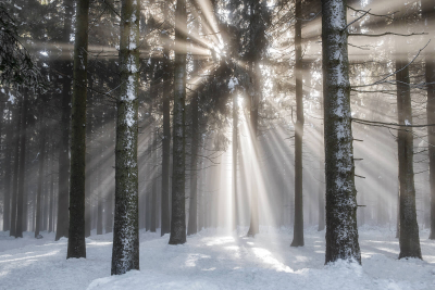 其他.哈苏大师获奖作品集.2016.Lars van de Goor.个人作品集.Cold_Beauty的摄影作品-Lars van de Goor_摄影师陈阳 5