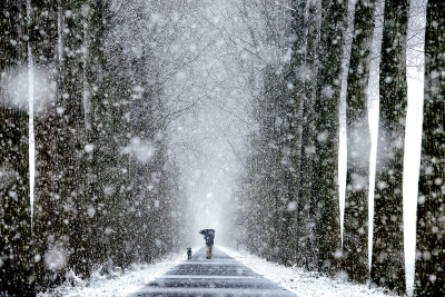 其他.哈苏大师获奖作品集.2016.Lars van de Goor.个人作品集.Cold_Beauty的摄影作品-Lars van de Goor_摄影师陈阳 6