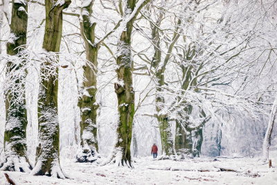 其他.哈苏大师获奖作品集.2016.Lars van de Goor.个人作品集.Cold_Beauty的摄影作品-Lars van de Goor_摄影师陈阳 8