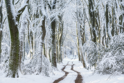 其他.哈苏大师获奖作品集.2016.Lars van de Goor.个人作品集.Cold_Beauty的摄影作品-Lars van de Goor_摄影师陈阳 10